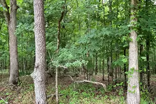 837 Bartram Trace Rd, Rayle, GA 30660 - Photo 67