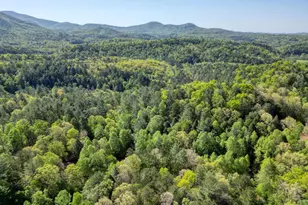 618 Satsuma Ct S, Ellijay, GA 30540 - Photo 57