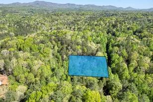 618 Satsuma Ct S, Ellijay, GA 30540 - Photo 61
