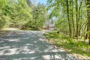 618 Satsuma Ct S, Ellijay, GA 30540 - Photo 53