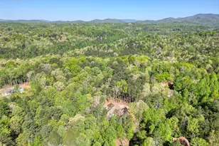 618 Satsuma Ct S, Ellijay, GA 30540 - Photo 59