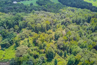 0 NW Jefferson Road S, Statham, GA 30666 - Photo 15