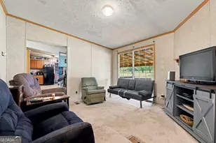384 Colwell Rd, Jackson, GA 30233 - Photo 27