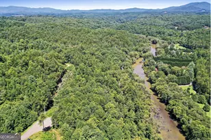 1 Riverview Ln, Blue Ridge, GA 30513 - Photo 11