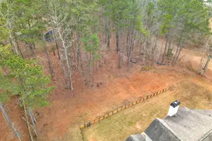 308 Cinnamon Bark Pass, Locust Grove, GA 30248 - Photo 11