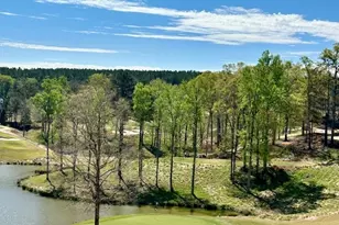 106 Equestrian Ct, Forsyth, GA 31029 - Photo 37