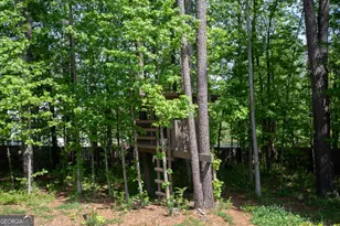 110 Beresford Rd, Tyrone, GA 30290 - Photo 63
