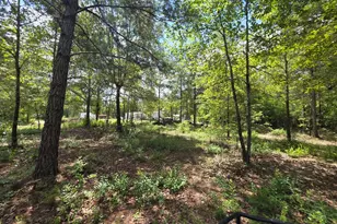 1667 Richard Moore Rd, Dublin, GA 31021 - Photo 9