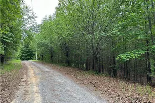 585 Galaxy Way, Ranger, GA 30734 - Photo 1