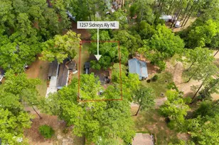 1257 Sidneys Alley NE, Townsend, GA 31331 - Photo 49