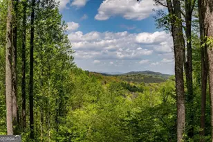 431 Little Bushy Head Rd, Blue Ridge, GA 30513 - Photo 19