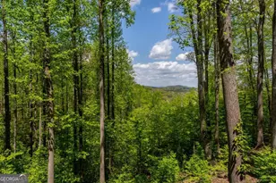 431 Little Bushy Head Rd, Blue Ridge, GA 30513 - Photo 37