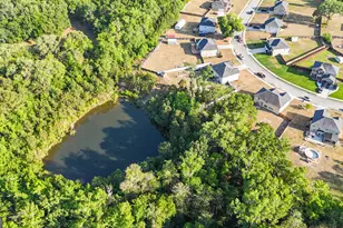 258 Nashview Trail, Allenhurst, GA 31301 - Photo 37