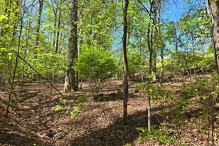 4320 Mineral Bluff Hwy, Mineral Bluff, GA 30559 - Photo 17