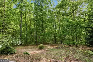 47 Terrys Pl, Cleveland, GA 30528 - Photo 31