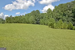 460 Morgan Mill Rd, Brooks, GA 30205 - Photo 5