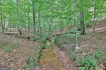 460 Morgan Mill Road, Brooks, GA 30205 - Photo 23