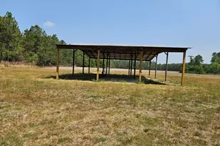 647 Buck Creek Rd, Sylvania, GA 30467 - Photo 3