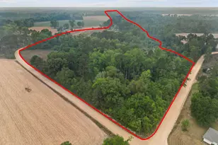 565 Bragg Rd, Brooklet, GA 30415 - Photo 43