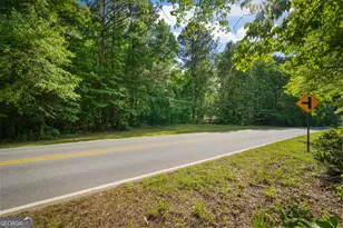 20 Clark Hill Rd, Newnan, GA 30263 - Photo 61