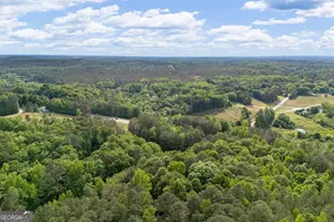 20 Clark Hill Rd, Newnan, GA 30263 - Photo 67
