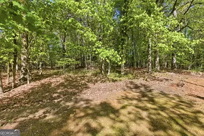 325 Blue Creek Cove, Cleveland, GA 30528 - Photo 43