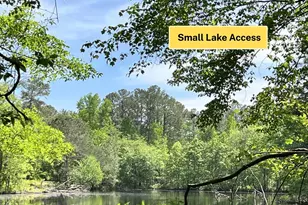 3341 E Hwy 16, Sharpsburg, GA 30277 - Photo 5