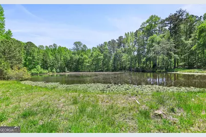 143 Cedar Creek Road, Newnan, GA 30263 - Photo 47