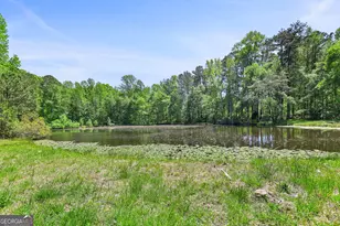 143 Cedar Creek Rd, Newnan, GA 30263 - Photo 47