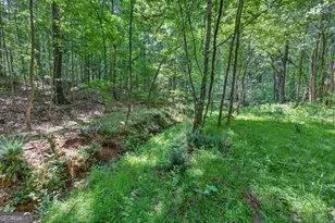 1260 Perryman Rd, Buckhead, GA 30625 - Photo 79