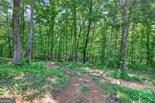 1260 Perryman Rd, Buckhead, GA 30625 - Photo 59