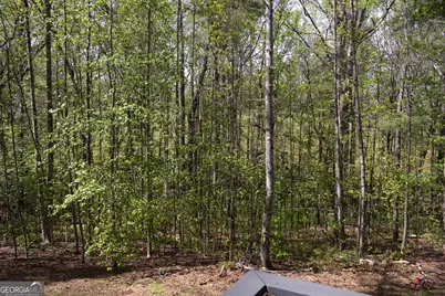 249 Boca Hills Road, Sautee Nacoochee, GA 30571 - Photo 27