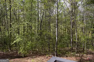 249 Boca Hills Rd, Sautee Nacoochee, GA 30571 - Photo 27
