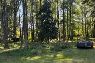 74 Willow Dell Dr, Senoia, GA 30276 - Photo 39