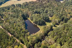 1216 Fern Rd, Woodbury, GA 30293 - Photo 47