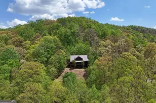 327 Prospectors Pass, Ellijay, GA 30536 - Photo 37