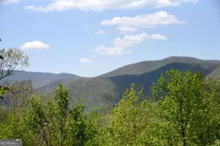 327 Prospectors Pass, Ellijay, GA 30536 - Photo 39