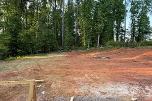 1529 Cabin Creek Trail, Griffin, GA 30223 - Photo 15