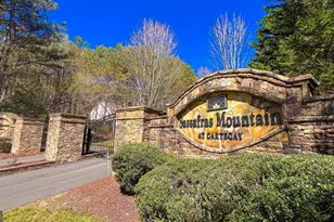 620 Fox Paw Leaf Ln, Ellijay, GA 30536 - Photo 73