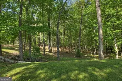 410 Knight Drive, Ellijay, GA 30540 - Photo 13