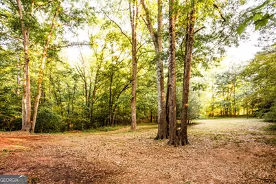 2443 Hodges Farm Road, Mansfield, GA 30055 - Photo 31