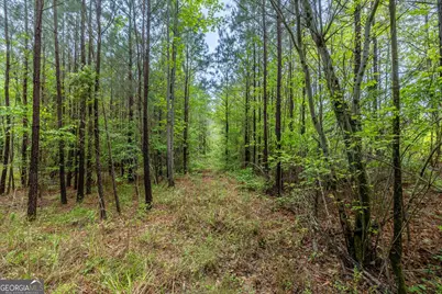 51 Paul Harris Road, Dallas, GA 30157 - Photo 11