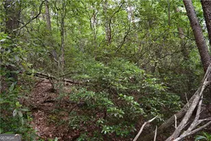 20 Goldmine Dr, Ellijay, GA 30536 - Photo 7