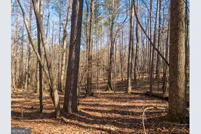 0 E Carroll Road, Winston, GA 30187 - Photo 7