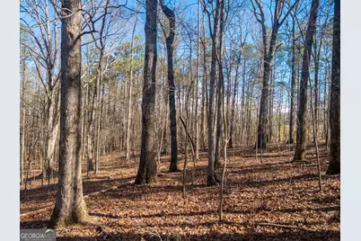 0 E Carroll Road, Winston, GA 30187 - Photo 5