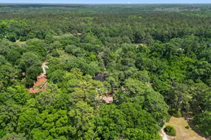 674 Dunlevie Rd, Allenhurst, GA 31301 - Photo 39