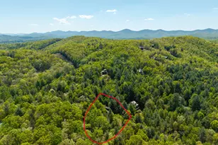 288 Kimbolton Dr, Morganton, GA 30560 - Photo 67