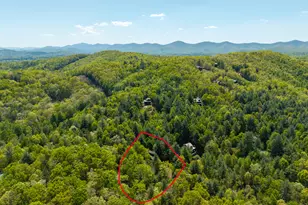 288 Kimbolton Dr, Morganton, GA 30560 - Photo 53