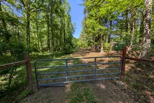 460 Etheridge Mill Rd, Milner, GA 30257 - Photo 3