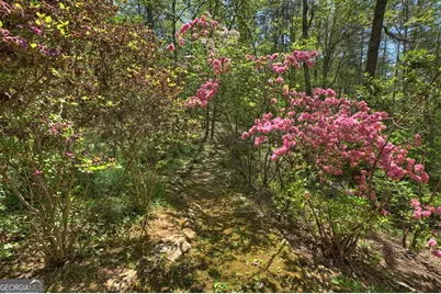 509 Ponderosa Road, Ellijay, GA 30540 - Photo 23